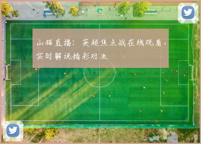 山猫直播：英超焦点战在线观看，实时解说精彩对决