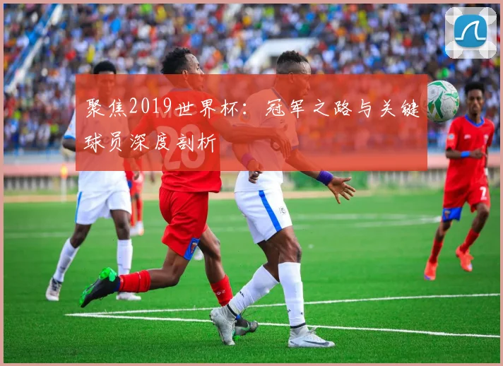 聚焦2019世界杯:冠军之路与关键球员深度剖析