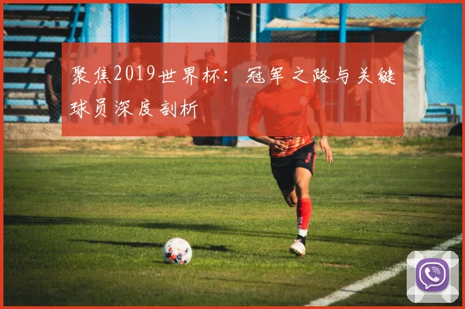 聚焦2019世界杯:冠军之路与关键球员深度剖析