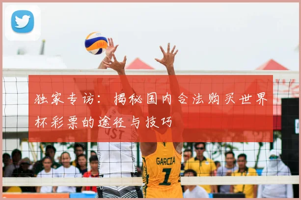 独家专访：揭秘国内合法购买世界杯彩票的途径与技巧