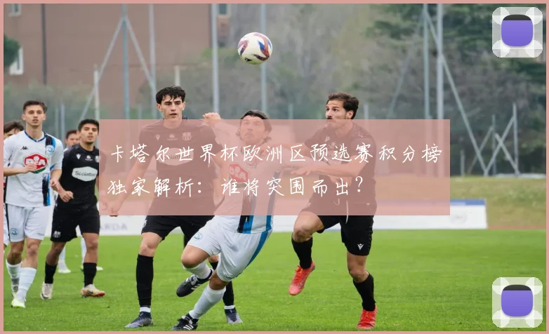卡塔尔世界杯欧洲区预选赛积分榜独家解析：谁将突围而出？