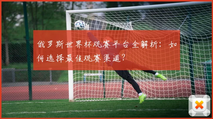 俄罗斯世界杯观赛平台全解析：如何选择最佳观赛渠道？
