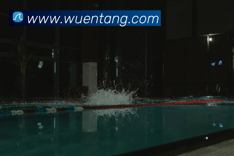 星空平台app官网平台生态图